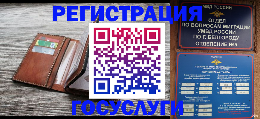 временная регистрация гарантия в Гатчине